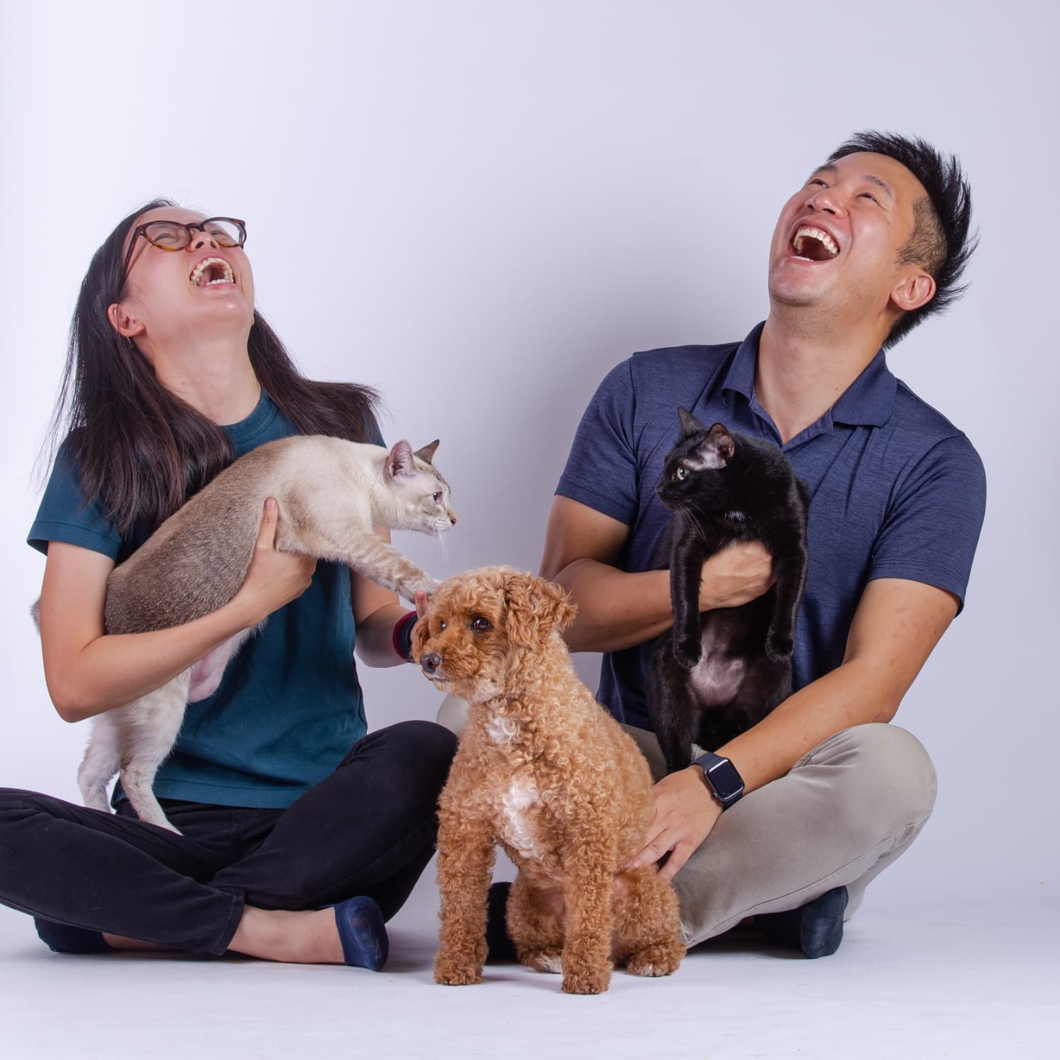 Image of Petchef Image of Petchef